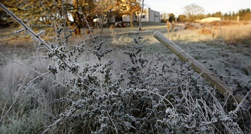 S&aacute;enz Pe&ntilde;a fue la ciudad m&aacute;s fr&iacute;a del NEA: lleg&oacute; este domingo a 4 grados bajo cero