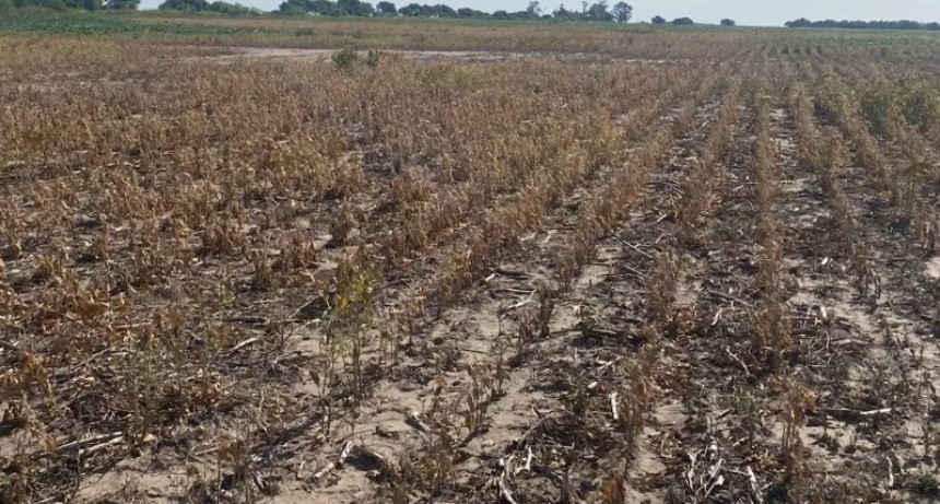 Naciones Unidas destinará fondos al Chaco para recuperar zonas afectadas por la sequía
