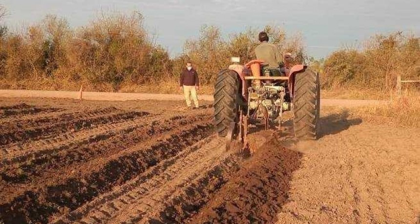 Producci&oacute;n impulsa Plan de Demostradores de implantaci&oacute;n de ca&ntilde;a de az&uacute;car