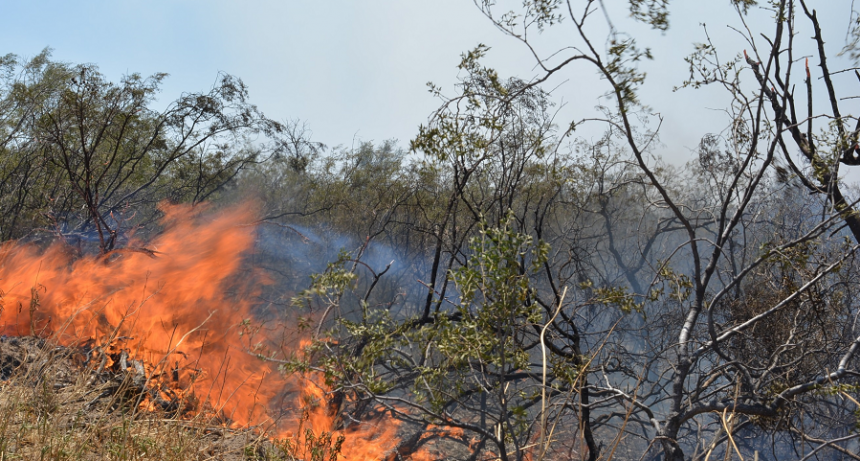 Chaco, en zona amarilla ante condiciones favorables para incendios rurales