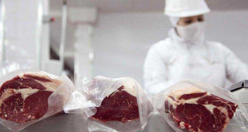 Argentina fue el &uacute;nico pa&iacute;s del Mercosur que aument&oacute; cantidad exportada de carne