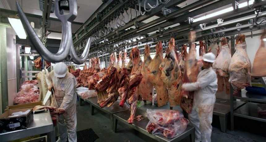 El consumo de carne en Argentina registr&oacute; la mayor ca&iacute;da de los &uacute;ltimos cien a&ntilde;os