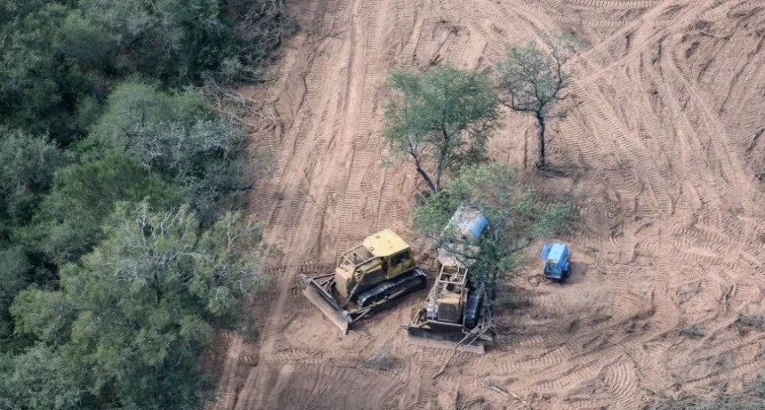 Greenpeace advierte sobre el aumento de los desmontes en el norte del pa&iacute;s