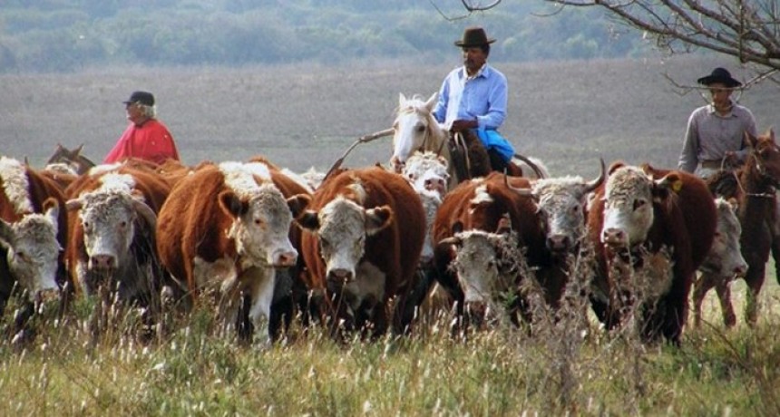 Se actualiz&oacute; el salario m&iacute;nimo de los trabajadores rurales, que ahora supera los $600 mil
