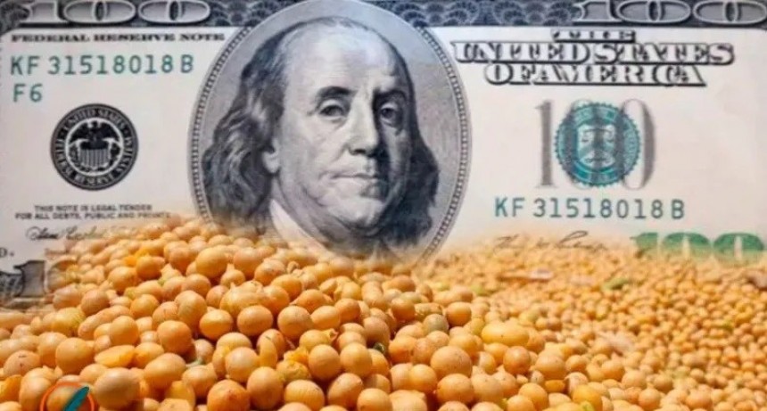 La soja cay&oacute; por debajo de los u$s380, el precio m&aacute;s bajo en 18 a&ntilde;os