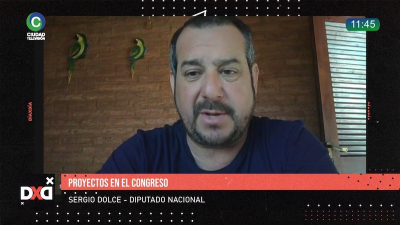&ldquo;Si habilitamos la compra masiva de tierras, van a quedar en manos de capital extranjero&rdquo;, advirti&oacute; Sergio Dolce