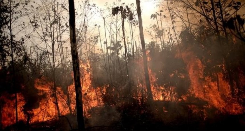 Argentina ofreci&oacute; a Brasil 200 brigadistas para ayudar a combatir los incendios en el Amazonas