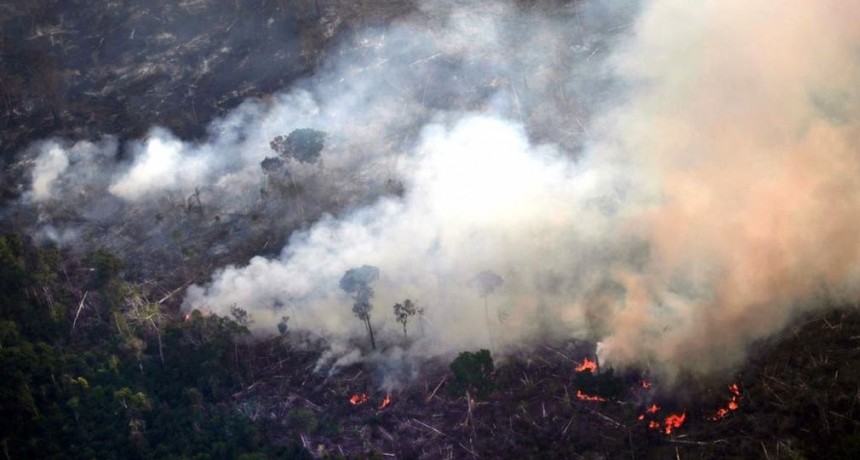 Amazonia: recuperar el ecosistema llevar&aacute; entre 200 y 500 a&ntilde;os