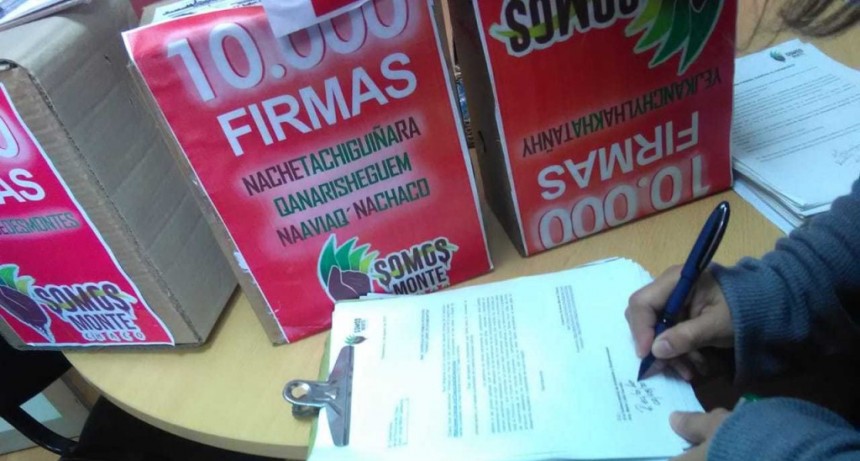 Somos Monte entreg&oacute; al gobierno provincial un petitorio de m&aacute;s de 10 mil firmas pidiendo el cese de los desmontes