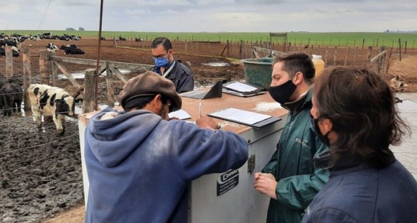El ‘otro’ campo: en los últimos 2 años rescataron a 1.050 trabajadores rurales en situación de explotación laboral