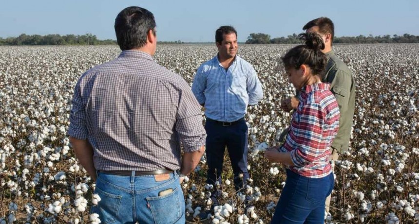 Lifton: “Las economías regionales son quienes iniciaron el proceso de recuperación en Argentina”