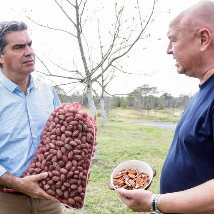 Siete mil kilos de nuez pec&aacute;n de Colonia Popular fueron exportados a Dubai