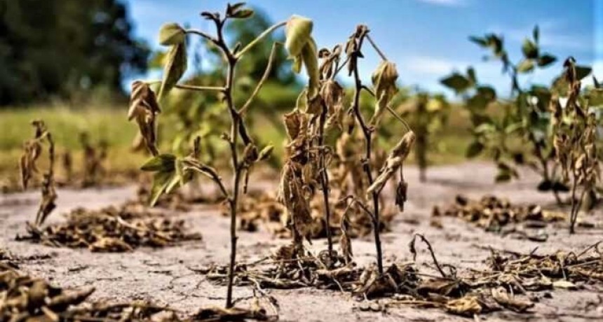 Aseguran que el impacto del fen&oacute;meno de &ldquo;El Ni&ntilde;o&rdquo; ser&aacute; &ldquo;moderado&rdquo; en la regi&oacute;n