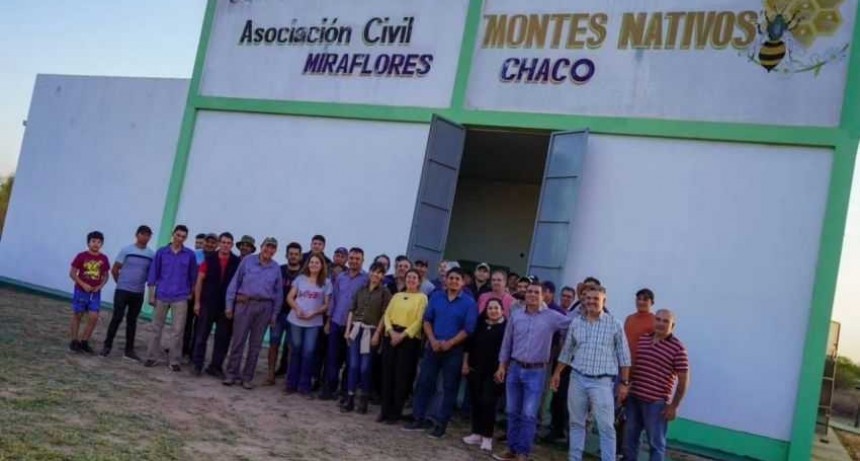M&aacute;s productores de miel org&aacute;nica se capacitar&aacute;n en los procesos de certificaci&oacute;n