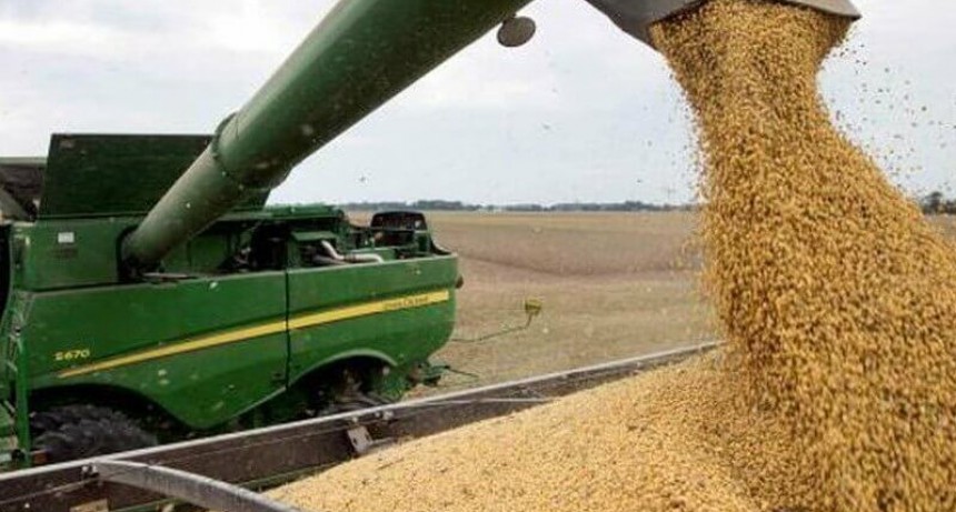 Pese a la cosecha y a los r&eacute;cords del campo, se tuvo que importar un 20% de la molienda