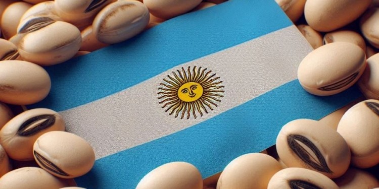 Argentina va al descenso: perdió más de 6500 productores de soja y se derrumbó el uso de semilla fiscalizada