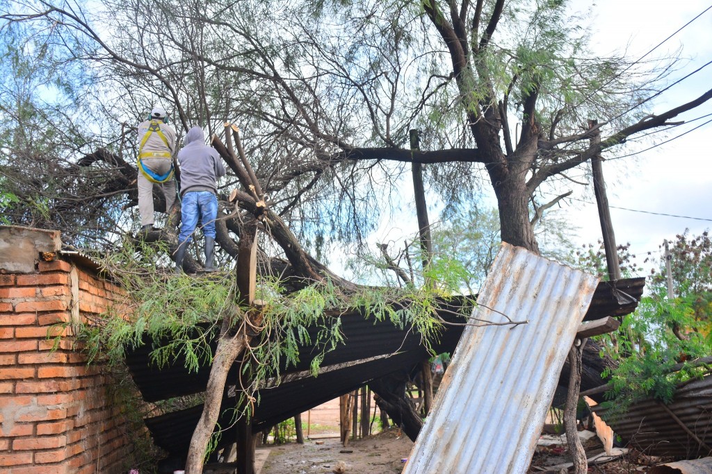 Tras la tormenta desde el municipio desplegaron un operativo de emergencia