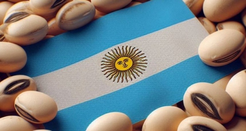 Argentina va al descenso: perdió más de 6500 productores de soja y se derrumbó el uso de semilla fiscalizada