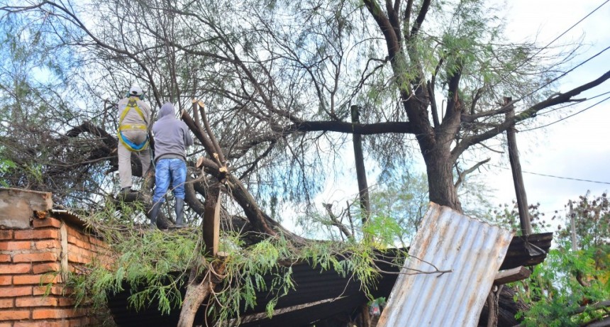 Tras la tormenta desde el municipio desplegaron un operativo de emergencia