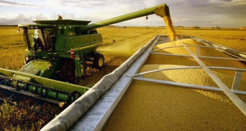 Dom&iacute;nguez y su primera propuesta al campo: alcanzar una producci&oacute;n de 70 millones de toneladas de soja