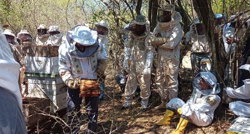 Se realizo la jornada a campo de la apicultura