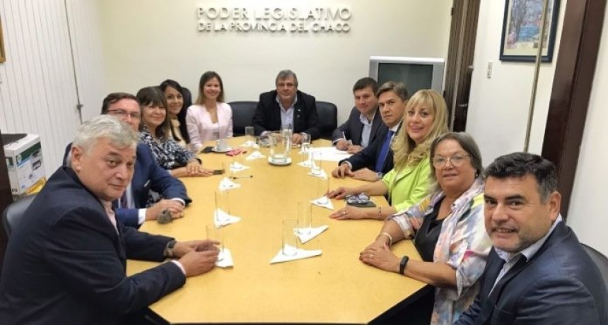 Diputados de la UCR chaque&ntilde;a repudiaron el ataque contra Cristina Kirchner