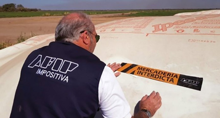 La AFIP incaut&oacute; 10 mil toneladas de granos en un feedlot con irregularidades en Tres Isletas