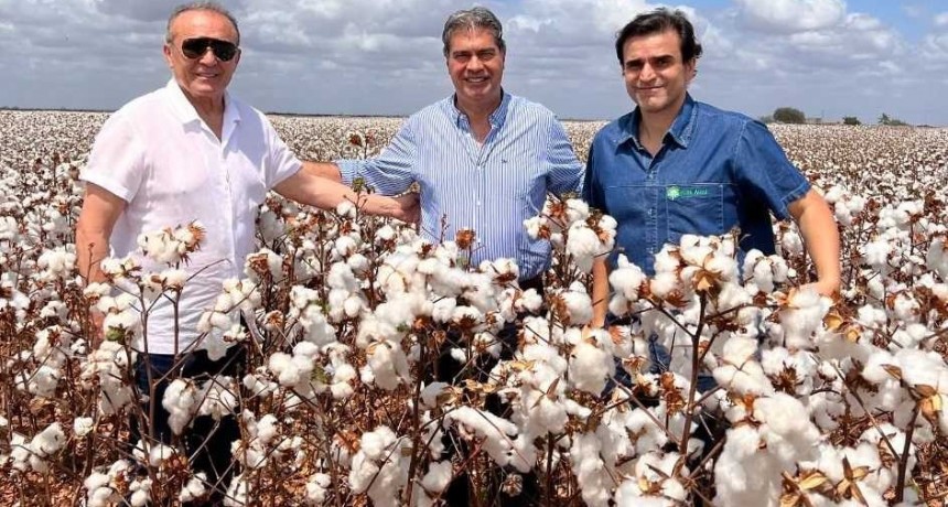 Posibles inversiones en algod&oacute;n y frutas