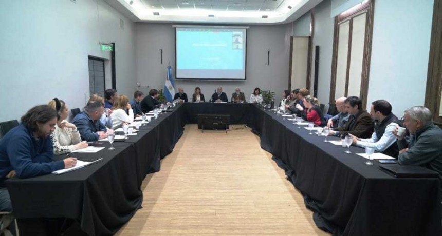 Mesa Algodonera Nacional: se ratific&oacute; al Chaco como principal provincia productora del pa&iacute;s