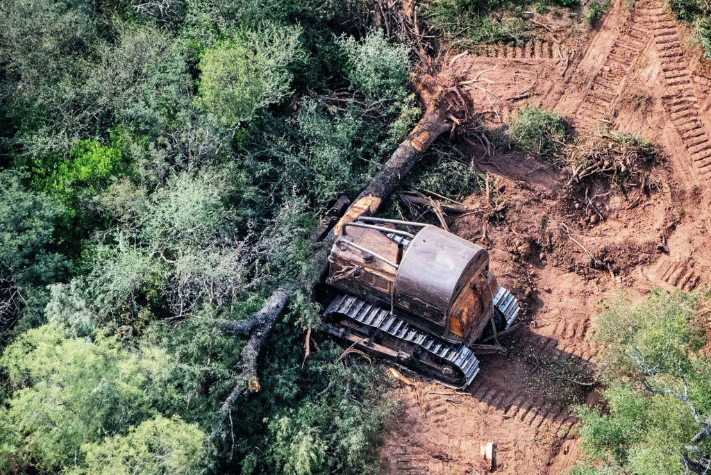 Argentina y Alemania se reúnen con expertos por la implementación de la Ley Desforestación de la UE