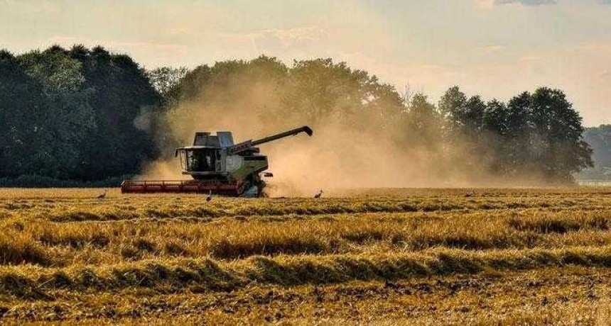 Nuevos cr&eacute;ditos subsidiados para mipymes y cooperativas agroindustriales