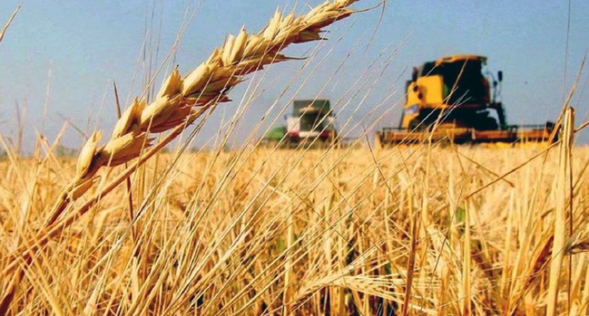 Producci&oacute;n agr&iacute;cola complicada: crecer&iacute;a un 2,6% pero caer&iacute;an los m&aacute;rgenes, las exportaciones y la recaudaci&oacute;n