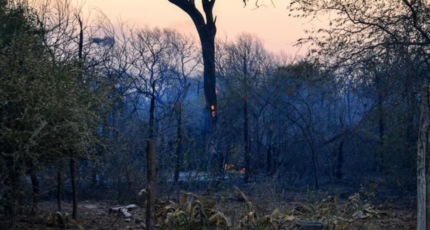 Incendios: una pel&iacute;cula de terror, pero de verdad
