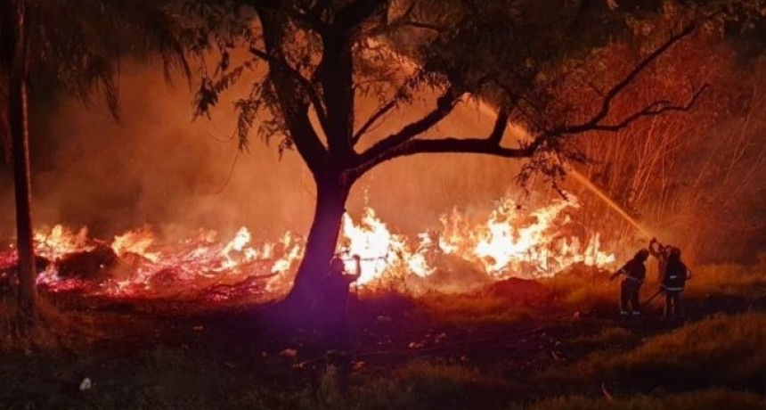 Incendios: &aacute;reas quemadas en Chaco son entre 4 y 60 veces mayores que en el resto de provincias del NEA