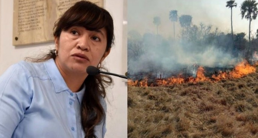 Charole present&oacute; proyecto para proteger las tierras que fueron centros de incendios forestales