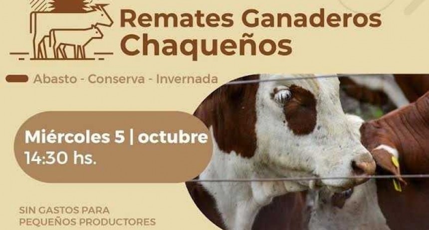 El Ministerio de Producción prepara un nuevo remate ganadero