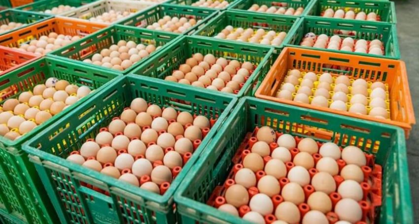 Semana Mundial del Huevo: &iquest;Cu&aacute;les son los beneficios de este alimento para la salud?