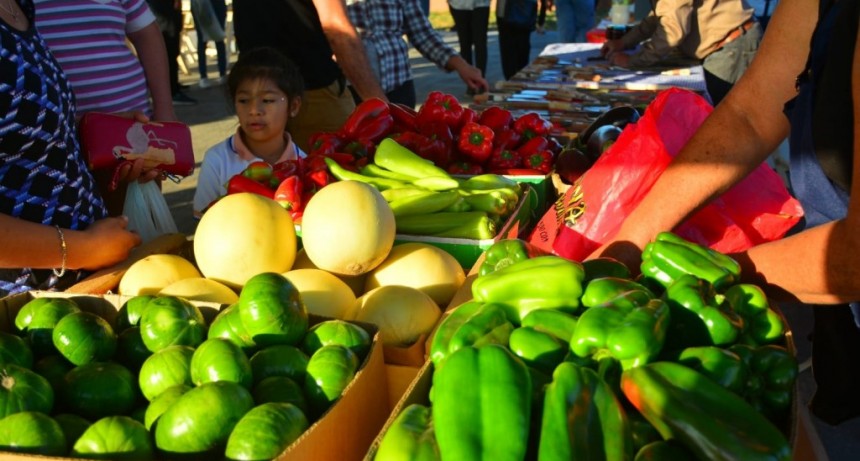 M&aacute;s de 30 feriantes ofrecieron sus  productos en el mercado popular de Castelli