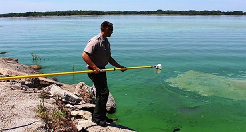 Detectam presencia de cianobacterias en el r&iacute;o  Bermejo