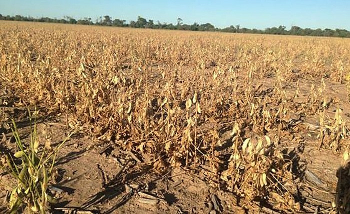 Un informe del SMN confirma que La Niña impactará fuertemente en Argentina con sequías y bajas precipitaciones