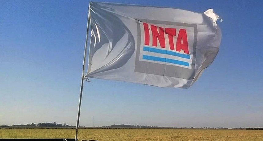 Denuncian desmantelamiento del INTA &rdquo;con un silencio c&oacute;mplice de las patronales&rdquo;