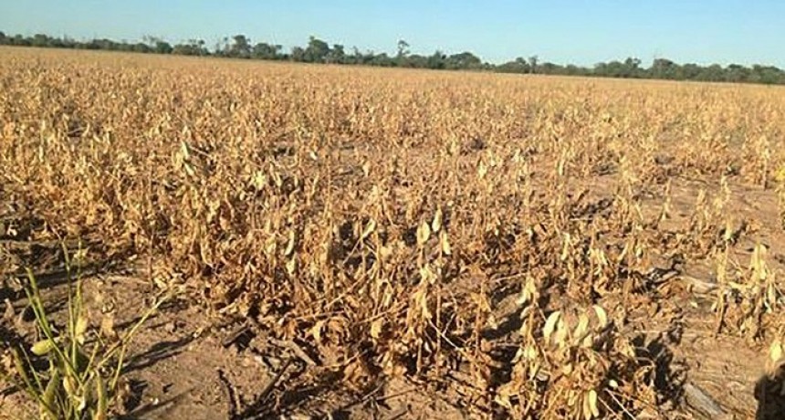 Un informe del SMN confirma que La Ni&ntilde;a impactar&aacute; fuertemente en Argentina con sequ&iacute;as y bajas precipitaciones
