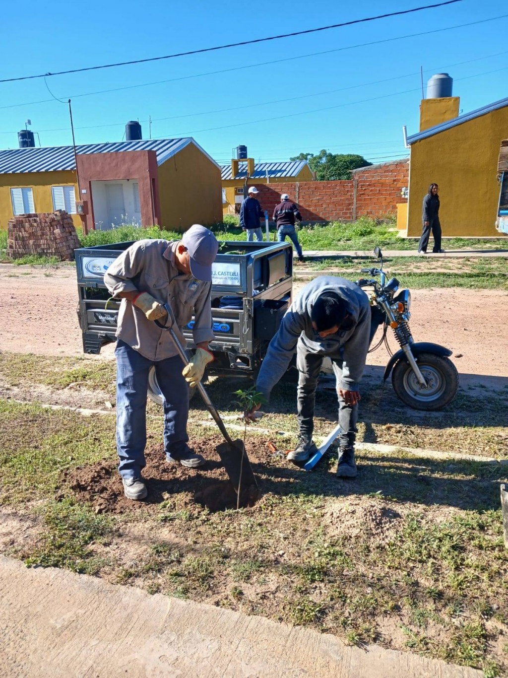 El área de Ambiente continúa con la implementación del Plan de Forestación Urbana