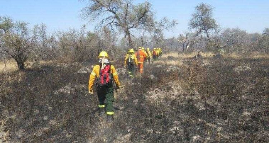 Otorgaron a Argentina financiamiento contra la deforestaci&oacute;n y apuntan a los incendios intencionales