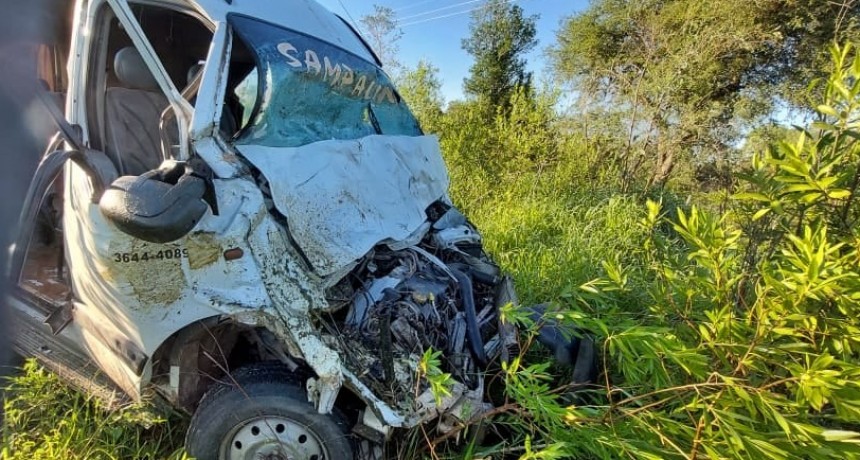 Animales en las rutas: Combi choco con caballos cerca de Bermejito 