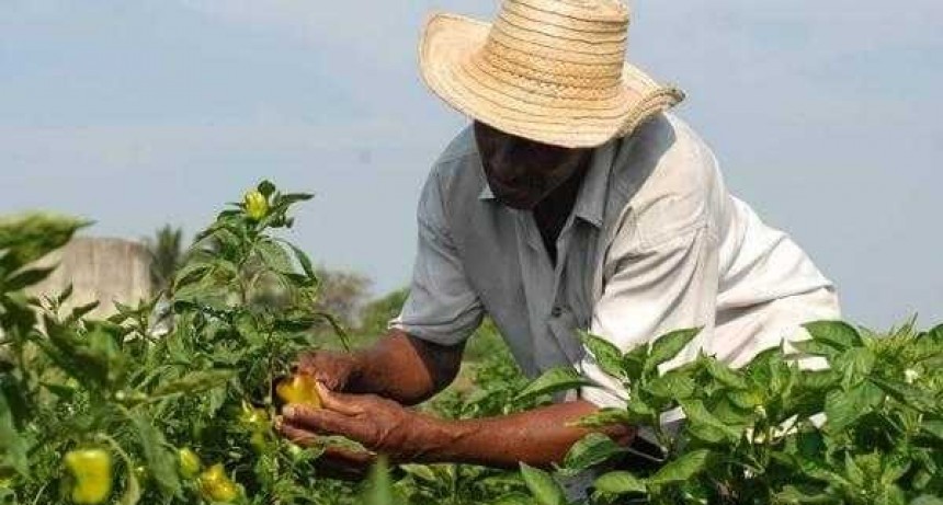 La Legislatura aprob&oacute; el proyecto de ley de Fomento de la Producci&oacute;n Agroecol&oacute;gica