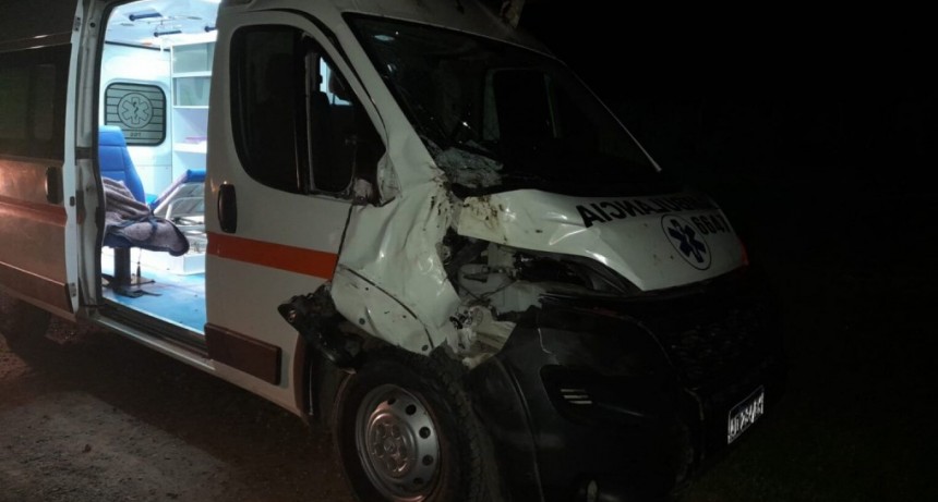 Una ambulancia de Castelli con tres pacientes pedi&aacute;tricos choc&oacute; un animal en Ruta 95