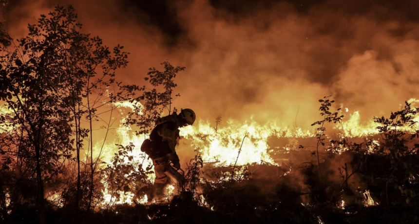 La ola de calor en Europa provoc&oacute; al menos 15.000 muertes en 2022