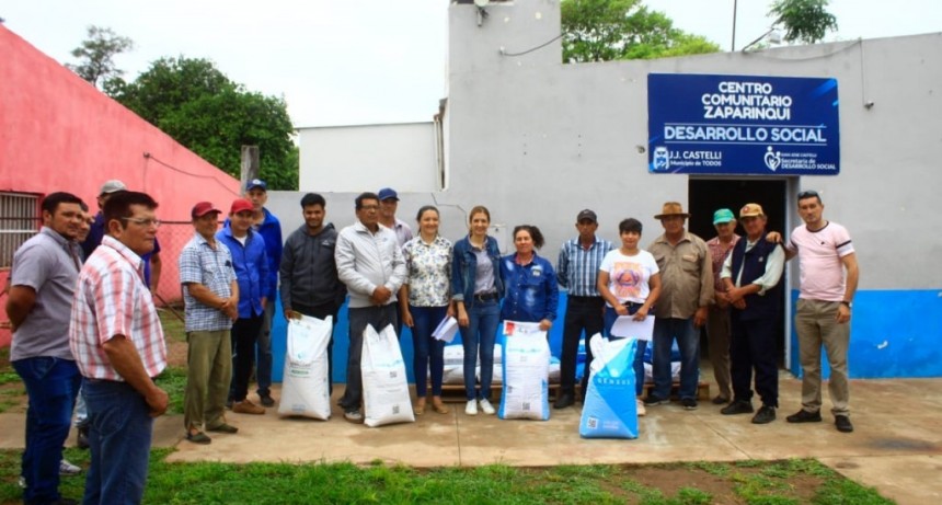 56 peque&ntilde;os productores recibir semillas para la siembra de algod&oacute;n