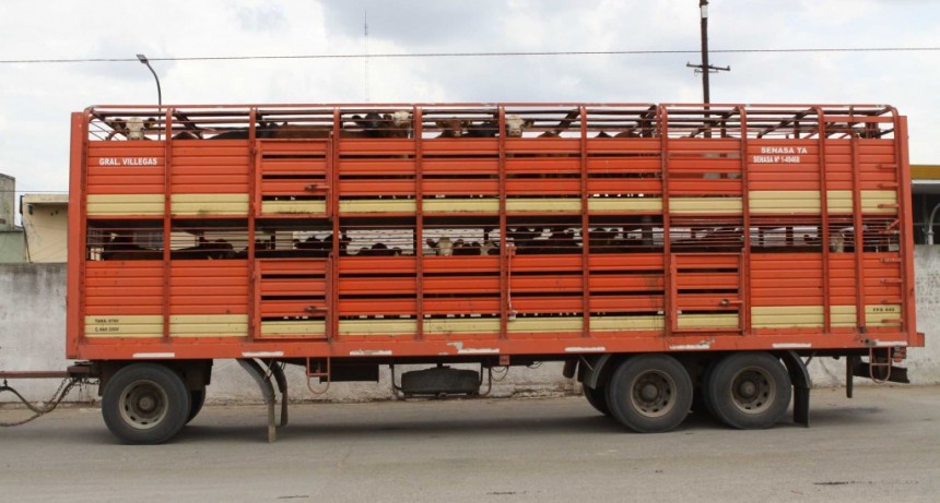 Flexibilizan movimientos de hacienda en el Chaco